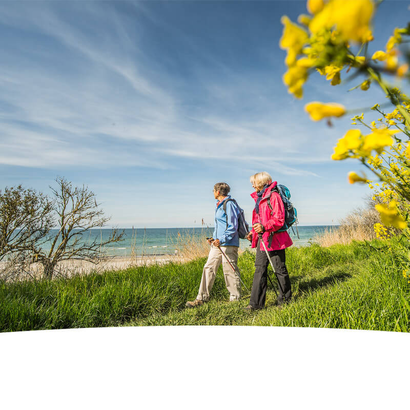 zwei Frauen wandern die Steilküste entlang am Rapsfeld vorbei