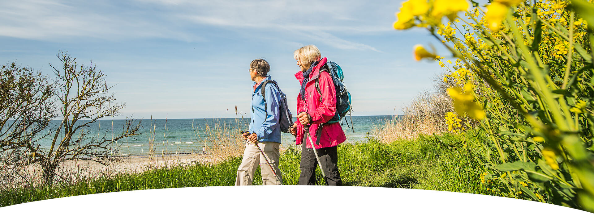 zwei Frauen wandern die Steilküste entlang am Rapsfeld vorbei