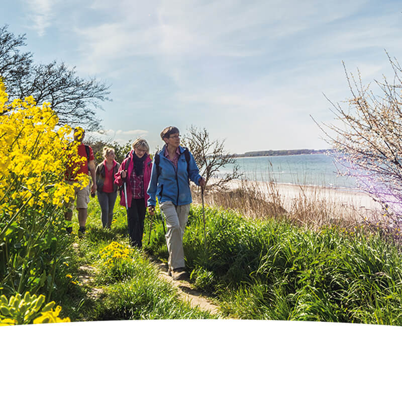 eine Wandergruppe an der Steilküste neben Rapsfeldern an einem sonnigen Tag
